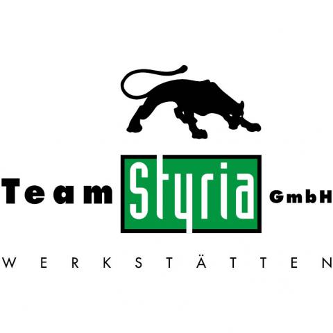 Team Styria